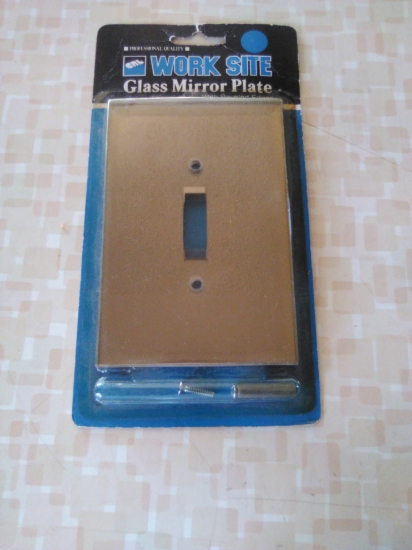 Picture of Glass Mirror Plate-Grey Single Toggle Switch-CRL Work Site